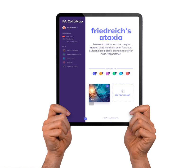 Ipad Banner Collamap