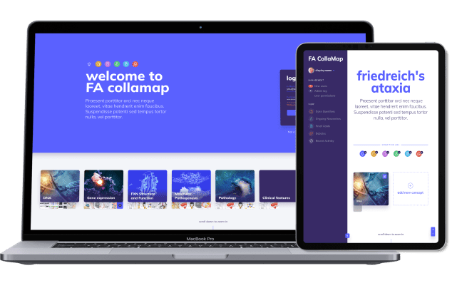 COLLAMAP Mockup
