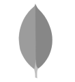 MongoDB